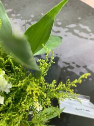 -HEYAN荷妍专业脱毛连锁机构
