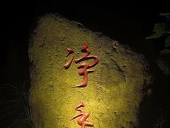 -印象普陀