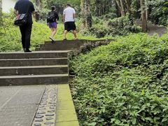 -凤栖山