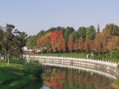 -眉山湿地公园(东坡区)