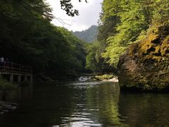 -黎坪国家森林公园