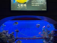 -太平洋海底世界