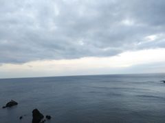 -涉地可支