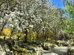 -石家庄市植物园