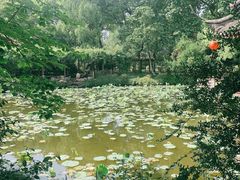 -上海醉白池公园