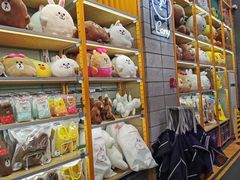 -line friends(明洞旗舰店)