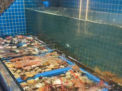 -曼格活海鲜·牛排自助(光明蓝鲸店)