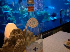 -迪拜帆船酒店海底餐厅