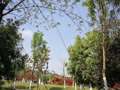 -铁山坪森林公园