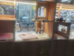 -喜洋洋宠物医院(震川路总店)