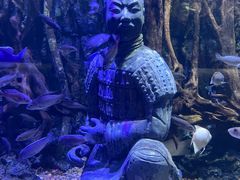 -华夏文旅海洋公园