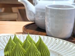 抹茶挞-猫里有甜