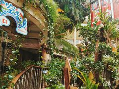 -正佳雨林生态植物园