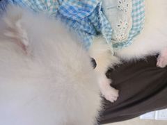 -汪说·狗咖(旺城大厦店)