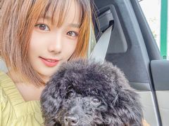 -萌宠之家·腊肠犬·马尔泰·小体犬舍