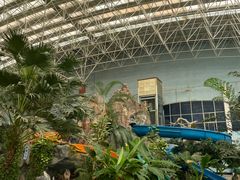 -龙脉温泉室内游泳馆