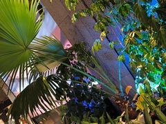 -新安人家·22年本地餐厅