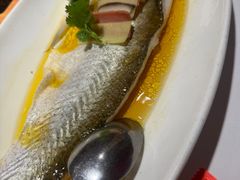 -上海1号私藏菜(黄浦店)