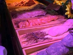 -韩风源自助烤肉(国贸精品店)