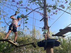 -合肥滨湖国家森林公园