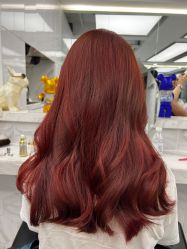 -潘多拉Hairsalon