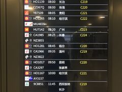 -上海浦东国际机场-T2航站楼