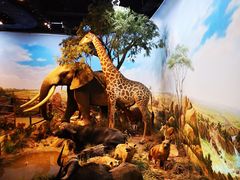 -陕西自然博物馆