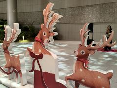 -深圳湾万象城(南山店)