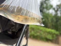 -丰台科技园生态主题公园