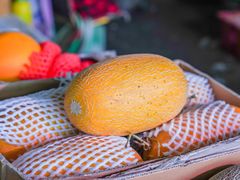 -菜园坝水果市场
