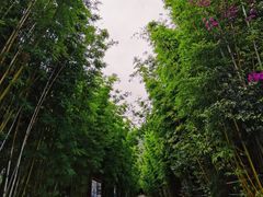 -蝴蝶泉公园