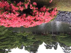 京都御所-京都御所