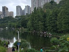 -重庆彩云湖湿地公园