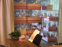 -藦茜花园宠物主题亲子互动体验馆(国顺东路店)