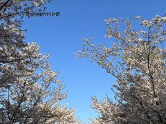 -长田漾湿地公园
