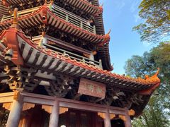 -红花山公园