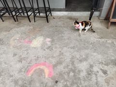 -转山咖啡(松柏社区店)