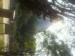 android_upload_pic-七珍佛山