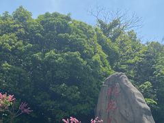 -桃花岛风景旅游区