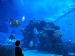 -成都浩海立方海洋公园