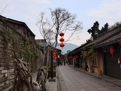 -太平张醪糟(西街直营店)