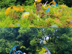 -上海共青森林公园