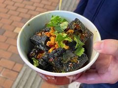 -黑色经典臭豆腐·湖南特产(潇湘文化店)