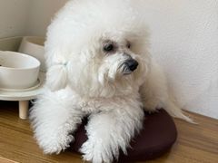 -MOI COFFEE(江山汇悦山府店)