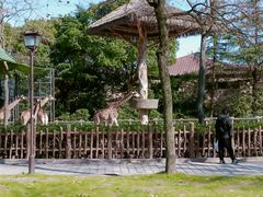 -上海野生动物园