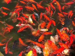 -重元寺香积厨素斋馆