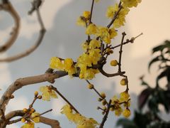 -颐和园