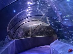 -太平洋海底世界