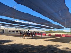 -北京群众马术培训基地