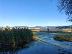 -洱海月湿地公园